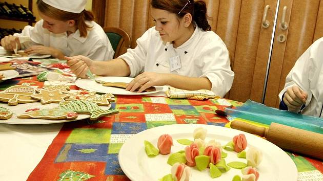 Dnem otevřených dveří se nabídla Střední škola gastronomie a služeb veřejnosti. Přístupné byly dílny krejčích, kadeřnický salon a v restauraci bylo vidět při práci cukráře, kuchaře, číšníky a barmany.