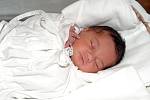 Mamince Andree Šprdlíkové z Liberce se 16. dubna 2011 v liberecké porodnici narodila dcera Šárka . Měřila 52 cm a vážila 3,67 kg.