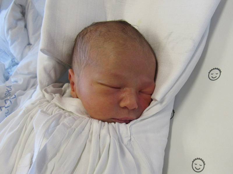 ADAM BURGHARD  Narodil se 30. ledna  v liberecké porodnici mamince Evě Burghardové z Liberce. Vážil 2,88 kg a měřil 51 cm.   