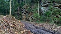 Za devastací části turisticky vyhledávané rezervace Plakánek u hradu Kost v jižní části CHKO Český ráj stojí těžba kůrovcového dřeva.