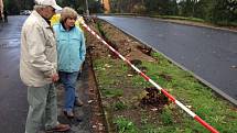 LOKALITA ŽITNÁ. Podle tamních obyvatel padlo v rámci revitalizace asi dvacet stromů zcela zbytečně. Prostor se prý proměnil v betonovou plochu bez fantazie.