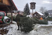 Karel Kolář z Bělé u Turnova se už 22 let věnuje prodeji vánočních stromků.