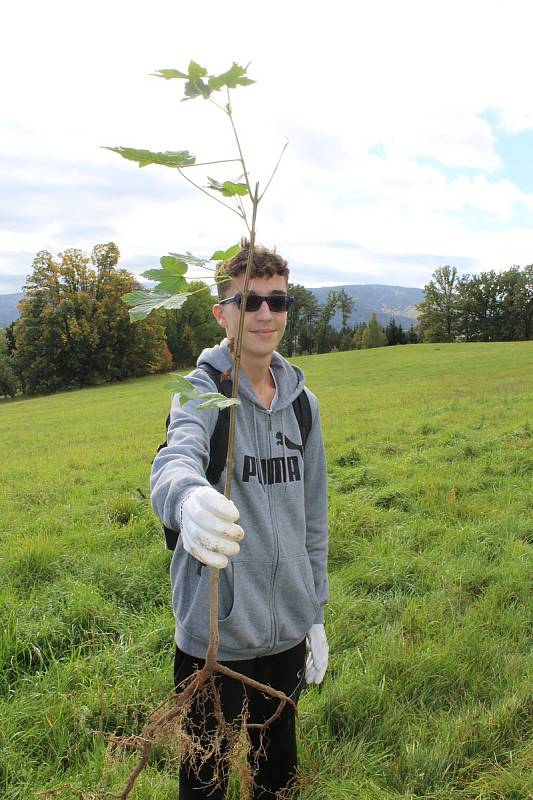 V rámci mezinárodního projektu tři desítky dětí vysadily javory podél rychlostní silnice ve Stráži. Ze stromů bude protihluková stěna.