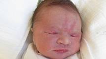 JAKUB ŽĎÁNSKÝ Narodil se 14. září v liberecké porodnici mamince Lucii Žďánské z Liberce. Vážil 3,60 kg a měřil 52 cm.