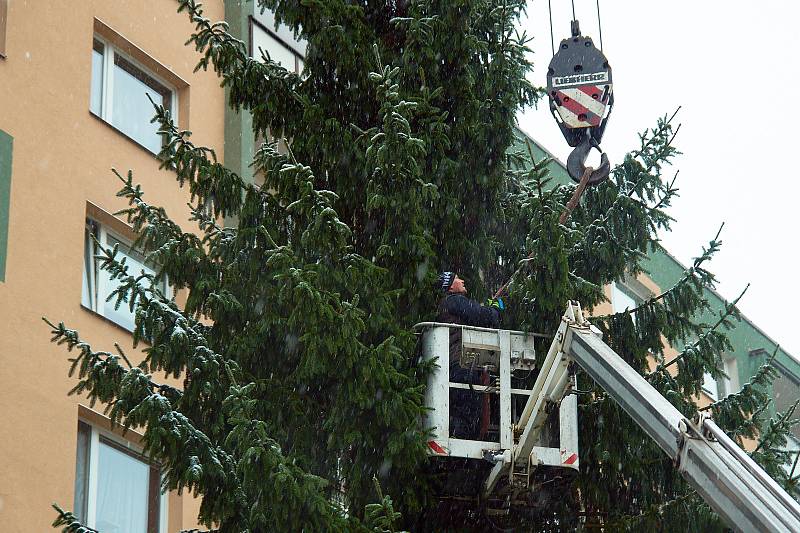 Kácení vánočního stromu na Broumovské v Liberci.