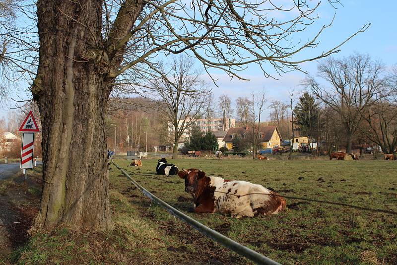 Malá obec nedaleko hranic z Polskem získala první místo v podpoře Miloše Zemana v prvním kole prezidentských voleb.