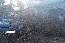 Hodinu po poledni odstraňovali hasiči v Chrastavě  strom, který strhl betonový sloup a poškodil osobní automobil.