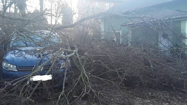Hodinu po poledni odstraňovali hasiči v Chrastavě  strom, který strhl betonový sloup a poškodil osobní automobil.
