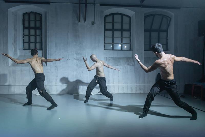 Taneční soubor Dekkadancers je složený ze špičkových tanečníků národních baletních scén v Praze, Brně, Mnichově či baletní Mekce Moskvě v čele s Ondřejem Vinklátem.