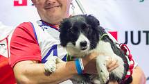 Poslední den Mistrovství světa v agility proběhl 8. října v Home Credit areně v Liberci. Na snímku je švýcarský reprezentant Martin Eberle se psem Sloane, vítěž disciplíny agility jednotlivců se středně velkými psy.