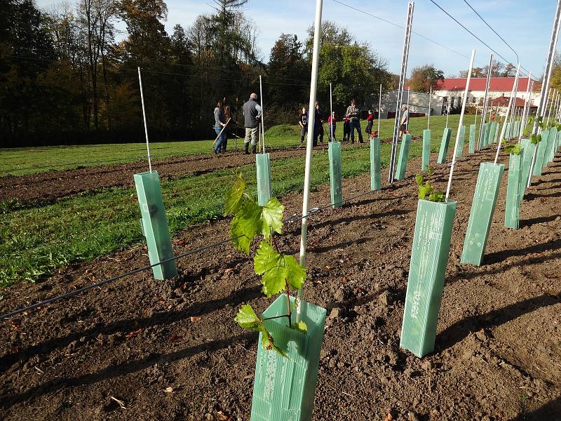 Na pozemcích Hospodářské a lesnické školy ve Frýdlantu vzniká naučná zemědělská stezka. Poslouží jak škole při výuce, tak veřejnosti k seznámení se s tím, co se v kraji teď i kdysi pěstovalo