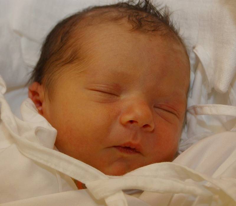 Mamince Nikole Balogové z Liberce se dne 31. prosince v liberecké porodnici narodil syn Albin Patrik. Vážil 2,73 kg.