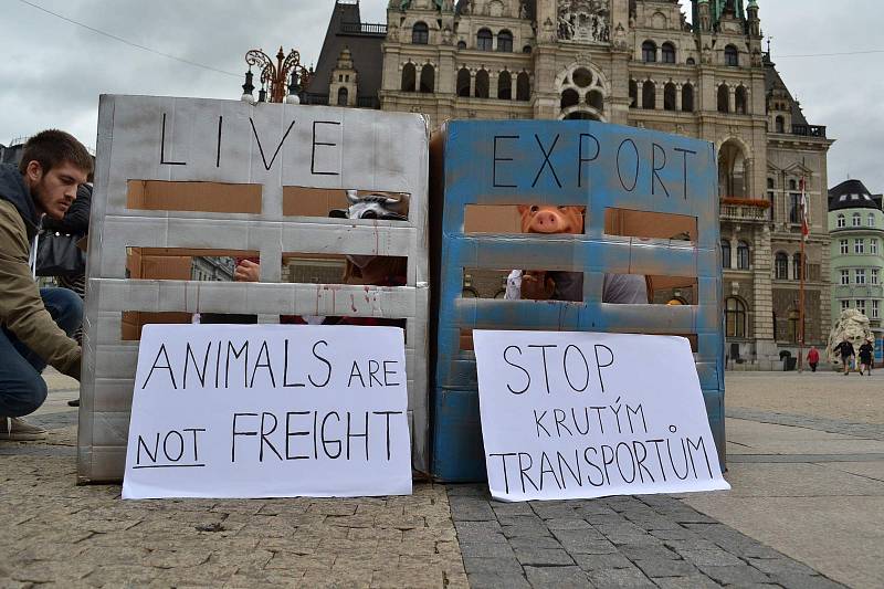 Na středu 13. září 2017 připadl Mezinárodní den STOP přepravě zvířat. A demonstrace se konala mimo jiné i na libereckém náměstí.