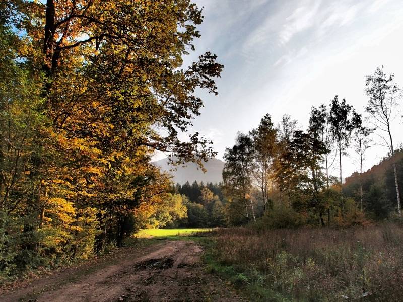 Krajina v Jizerkách.