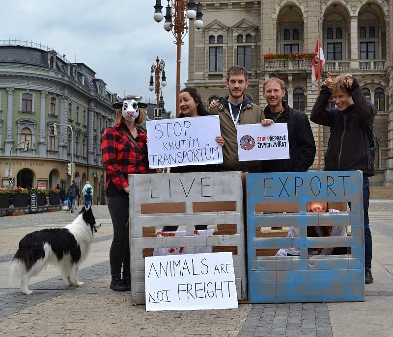 Na středu 13. září 2017 připadl Mezinárodní den STOP přepravě zvířat. A demonstrace se konala mimo jiné i na libereckém náměstí.