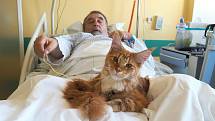 Zvířecí smečka v krajské nemocnici má nový přírůstek. Kocour James Bond pomáhá v rámci zvířecí terapie na oddělení následné péče.