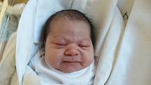 Natálie Paštyková. Narodila se 7. října v liberecké porodnici mamince Lucii Pultarové z Prahy. Vážila 3,32 kg a měřila 49 cm.