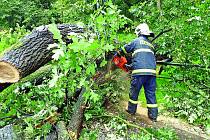 Silné poryvy větru na Liberecku na několika místech zatarasily silnice popadanými stromy.