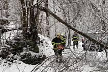 Popadané stromy zaměstnaly hasiče v celém kraji.