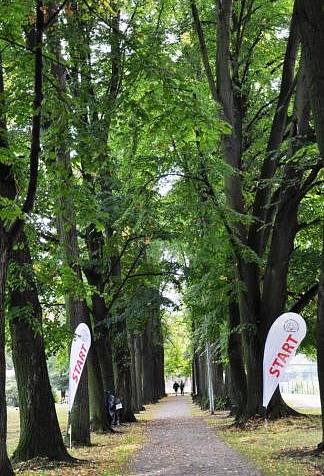 Studenti z Gymnázia Frýdlant už potřetí bořili bariéry.