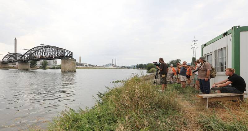 Snášení železničního mostu přes Labe na trati Lovosice – Žalhostice.