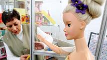 Na výstavě v muzeu si mohou lidé prohlédnout mezi panenkami skutečné unikáty – porcelánové Barbie, oblečené špičkovými světovými návrháři, které vypadají, jako by právě sestoupily z předváděcího mola na módní přehlídce.