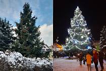 Vánočním stromem Deníku 2023 v Libereckém kraji se stal ten z Chrastavy.