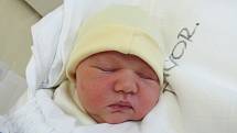 ANNA FUNKOVÁ  Narodila se 31. ledna v liberecké porodnici mamince Zuzaně Brozové z Chrastavy. Vážila 3,32 kg a měřila 50 cm.