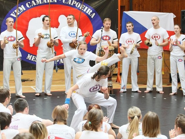 Vem camará capoeira měla v Liberci své mistrovství dospělých - Liberecký  deník