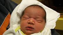 Lilien Alfonso se narodila 29. ledna v liberecké porodnici mamince Pavle Alfonso z Liberce. Vážila 4,1 kg a měřila 52 cm.