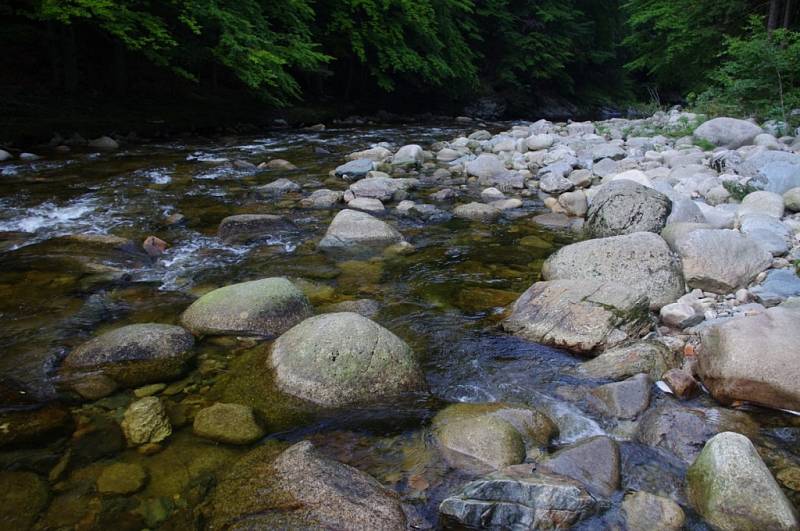 Řeka v objetí kamenů.