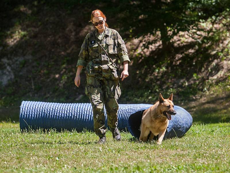 Den otevřených dveří Centra vojenské kynologie Chotyně Armády ČR s ukázkami výcviku služebních psů