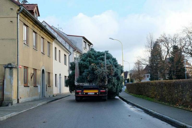 Frýdlantské náměstí zdobí vánoční strom.