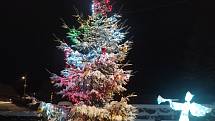 Vánoční strom ve Ferdinandově