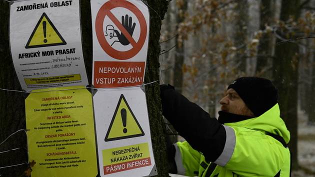 Strážníci instalují tabule s informací o omezení vstupu v souvislosti s africkým morem prasat, 6. prosince 2022 ve Frýdlantě na Liberecku. Ilustrační foto.