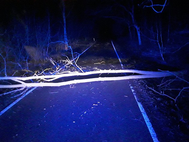 Kvůli nočnímu větru spadla řada stromů. Tisíce lidí v kraji jsou bez proudu
