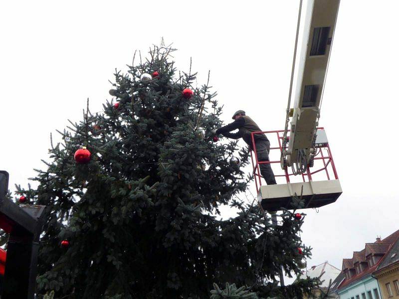 Vánoční strom zdobí Svatovítské náměstí v Osečné.