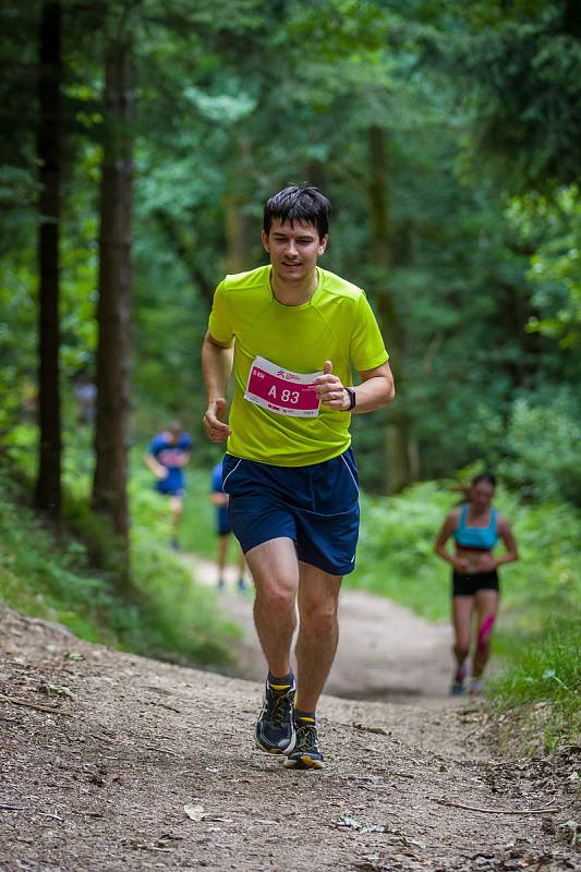 T-Mobile Olympijský běh 2018 proběhl 20. června v rámci Mezinárodního Olympijského dne ve Vratislavicích nad Nisou. Závodilo se i na dalších místech republiky a celkem vyběhlo přes 71 tisíc běžců.