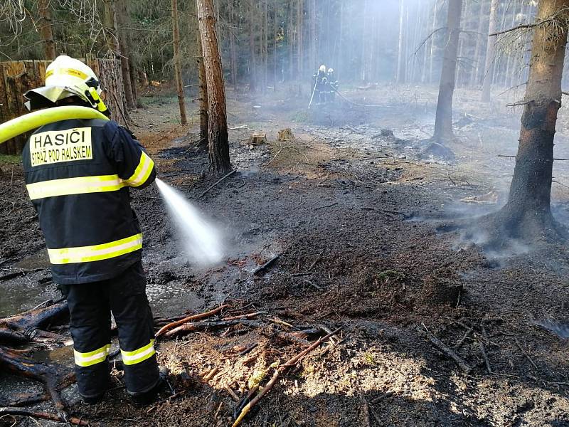 K požáru lesního porostu 20x20m vyjížděli hasiči v Hamru na Jezeře.