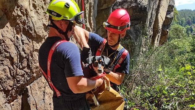 Do patnáctimetrové hloubky spadl pes z vyhlídky Pantheon na Malé Skále. Zvíře zachránili hasiči.