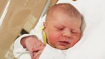 ANNA SVOBODOVÁ Narodila se 2. března v liberecké porodnici mamince Haně Andreasové z Liberce.  Vážila 3,12 kg a měřila 49 cm.