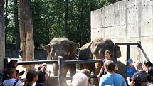 Mezinárodní den slonů v liberecké zoologické zahradě.