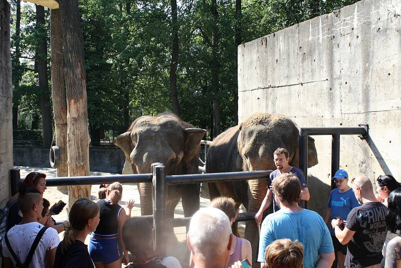 Mezinárodní den slonů v liberecké zoologické zahradě.