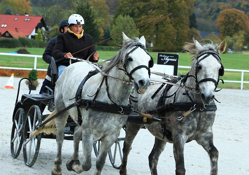 S letošní závodní sezonou se v sobotu 23. října loučil Jítravský Dvorec. K vidění tu byly vozatajské závody.