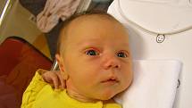 Petr Kvasnica se narodil 4. února v liberecké porodnici mamince Veronice Rejfové z Janova nad Nisou. Vážil 4,2 kg a měřil 52 cm.