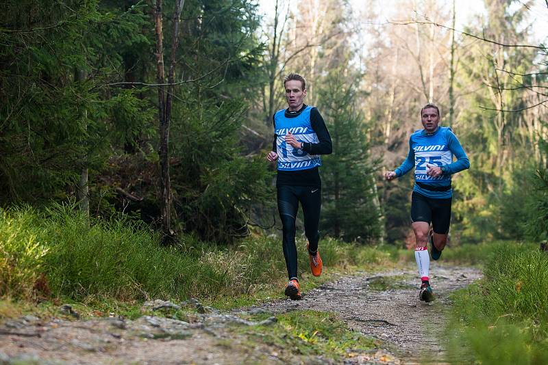 Závěrečný závod série BoBoTripl, horský běh na trati dlouhé 30 kilometrů, odstartoval 5. listopadu v Bedřichově na Jablonecku.