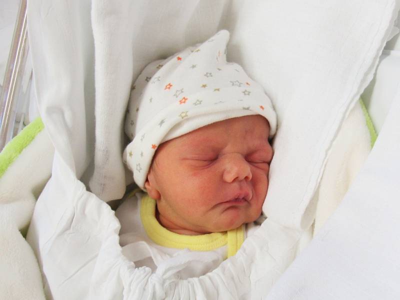 BÁRA PROSOVÁ  Narodila se 24. ledna v liberecké porodnici mamince Veronice Brožové z Liberce. Vážila 2,55 kg a měřila 49 cm.
