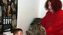 Rodiče s dětmi se na dvoudenním semináři seznamují se životem sov.