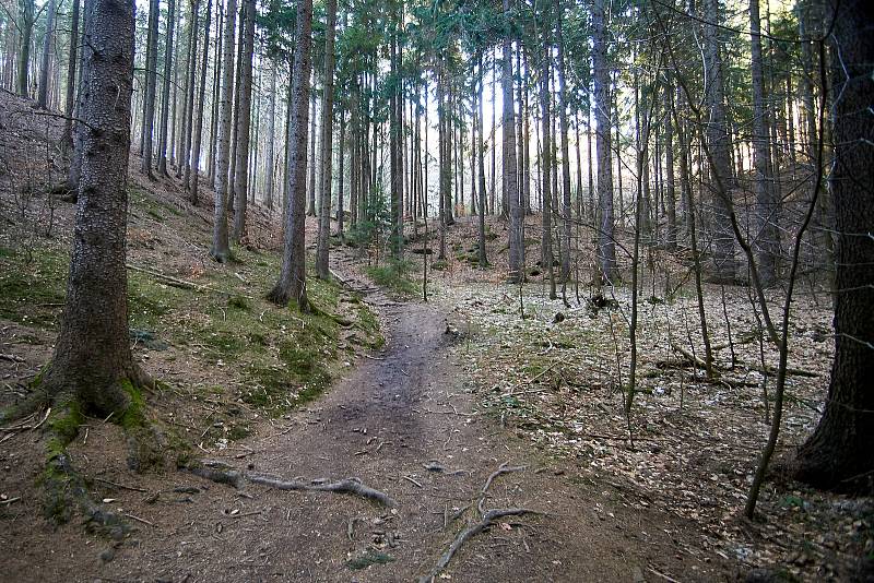 Naučná stezka S mlokem lehkým krokem