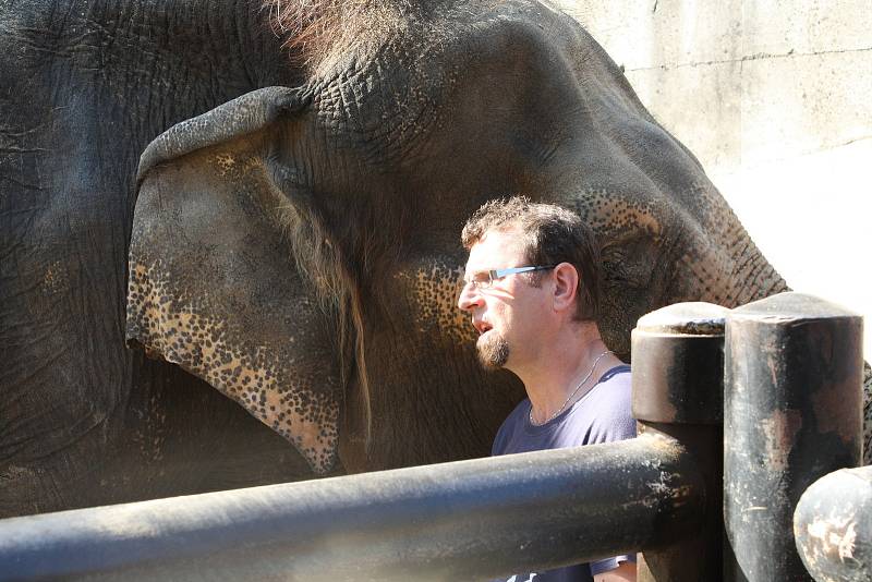 Mezinárodní den slonů v liberecké zoologické zahradě.
